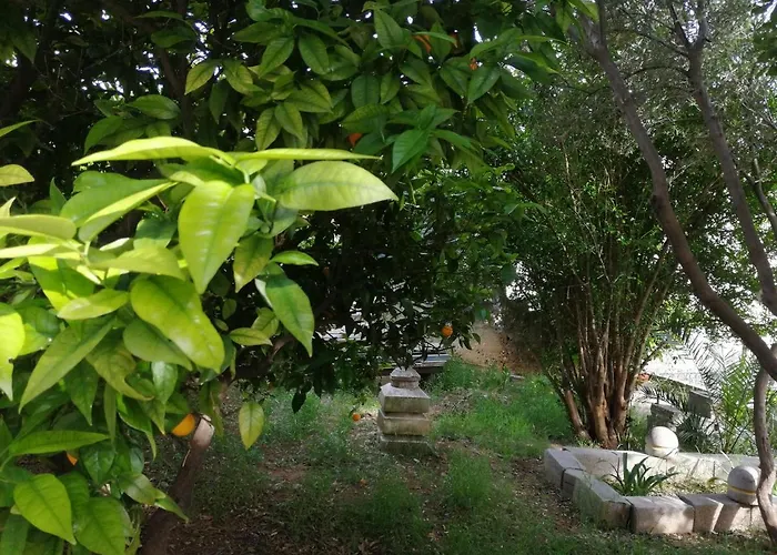 Ines And Marina Appartement *